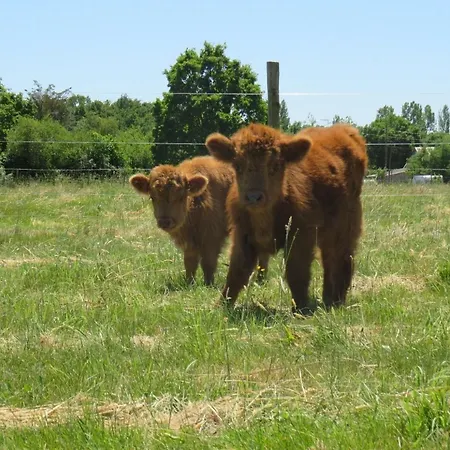 Tipi Les P'tites Maisons Dans La Prairie Kamp alanı *