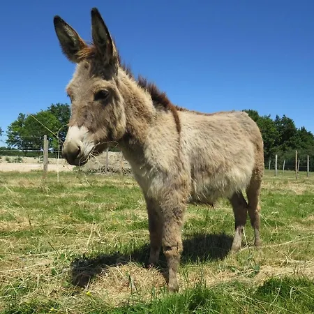Tipi Les P'tites Maisons Dans La Prairie *