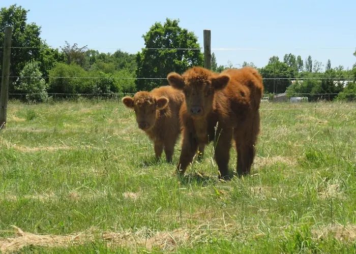 Tipi Les P'tites Maisons Dans La Prairie Camping *