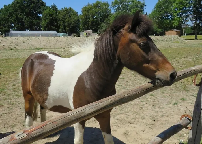 Camping Tipi Les P'tites Maisons Dans La Prairie