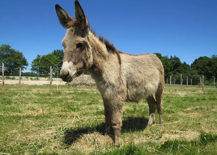 Tipi Les P'tites Maisons Dans La Prairie *