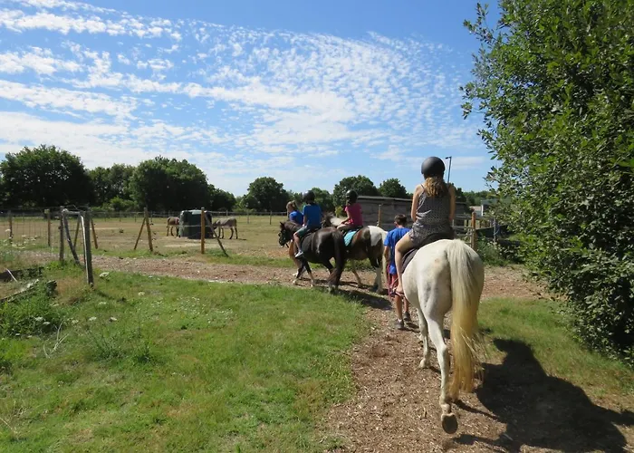 Camping Tipi Les P'tites Maisons Dans La Prairie Sallertaine